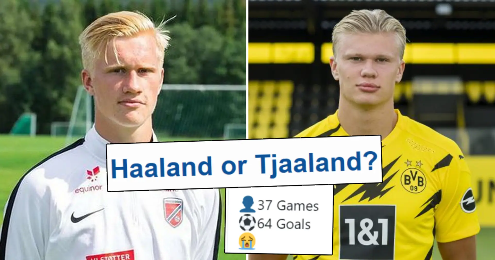 Is it true that Haaland's cousin Albert Tjaaland is as prolific as Erling? You asked – we answered