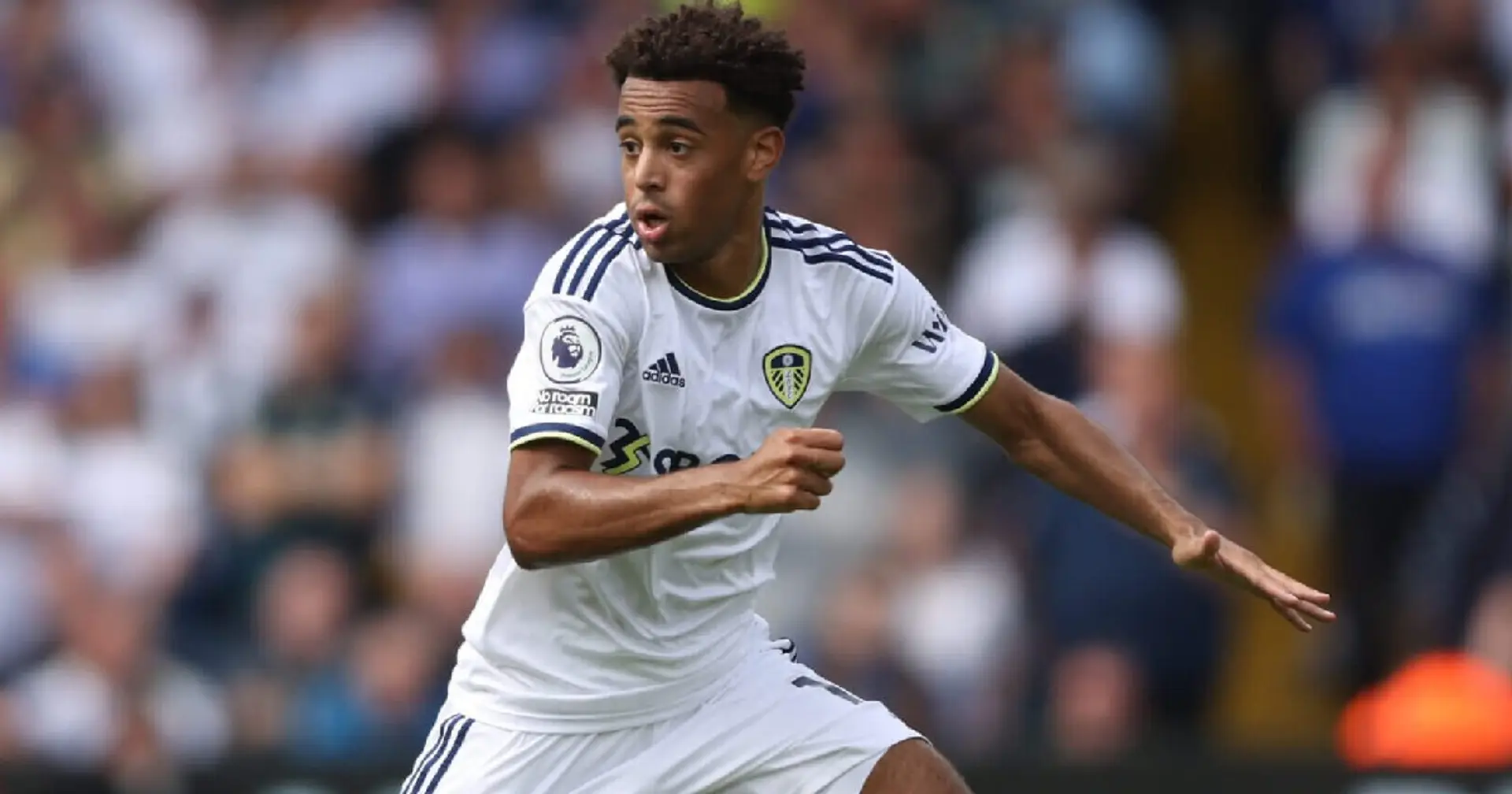 'Here we go!': Romano confirms Tyler Adams transfer to Chelsea
