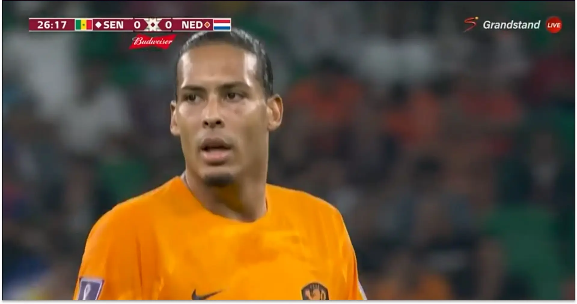How did Van Dijk fare in Netherlands' win v Senegal at World Cup? Answered