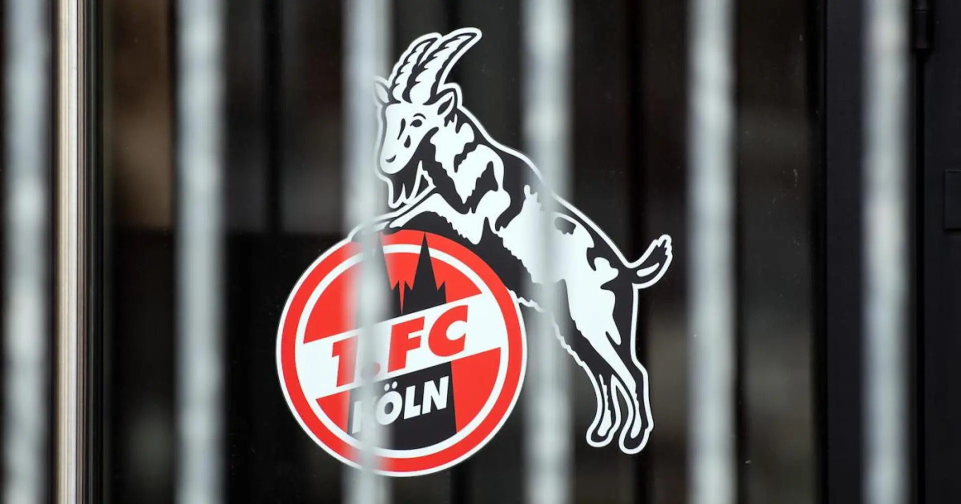 Further blow to Bundesliga restart as three Cologne players test positive for coronavirus