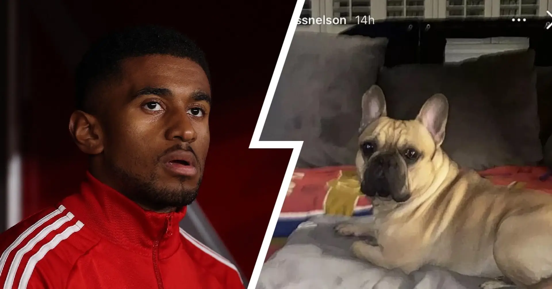 Reiss Nelson on trial over dog attack & 2 more under-radar stories at Arsenal 