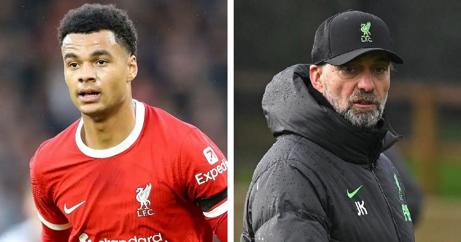'He won't be prolific': Liverpool told to let Gakpo go for £60m Premier League striker
