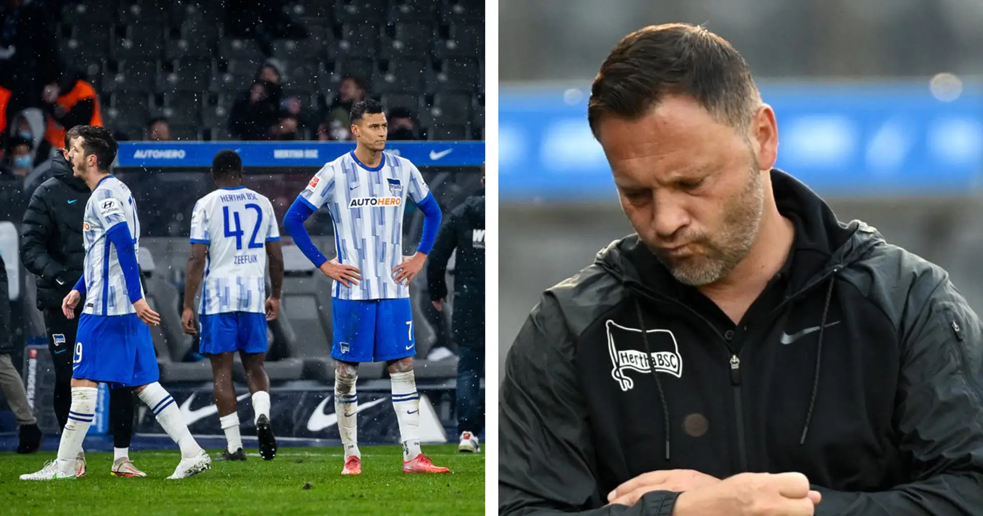 Hertha-Cheftrainer Dardai wurde entlassen, Ersatz ist schon bekannt