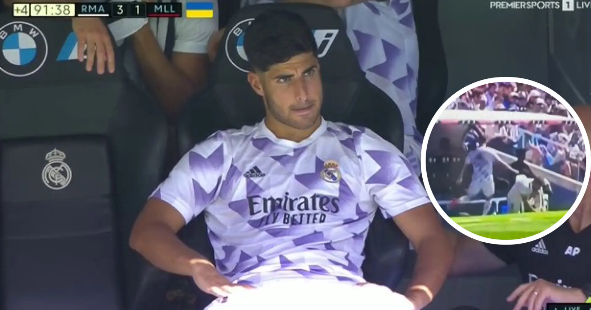 Asensio throws his bib and kicks water bottle in front of Ancelotti after not playing against Mallorca – spotted