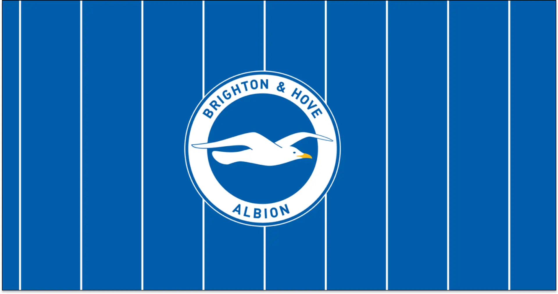 'Brighton fans will sing You'll Never Walk Alone on last day of season' — finance expert explains why