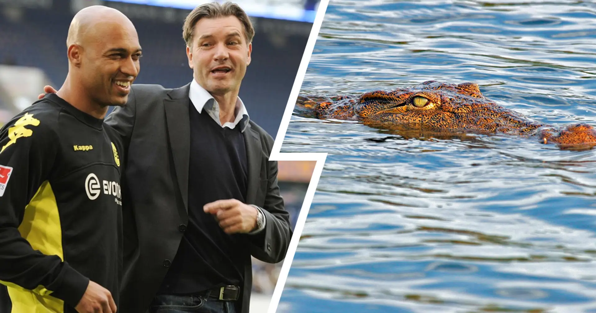 Als sich Geburtstagskind Dede "wegen Krokodile"  weigerte, im schweizerischen See zu baden - Zorc mit einer Anekdote