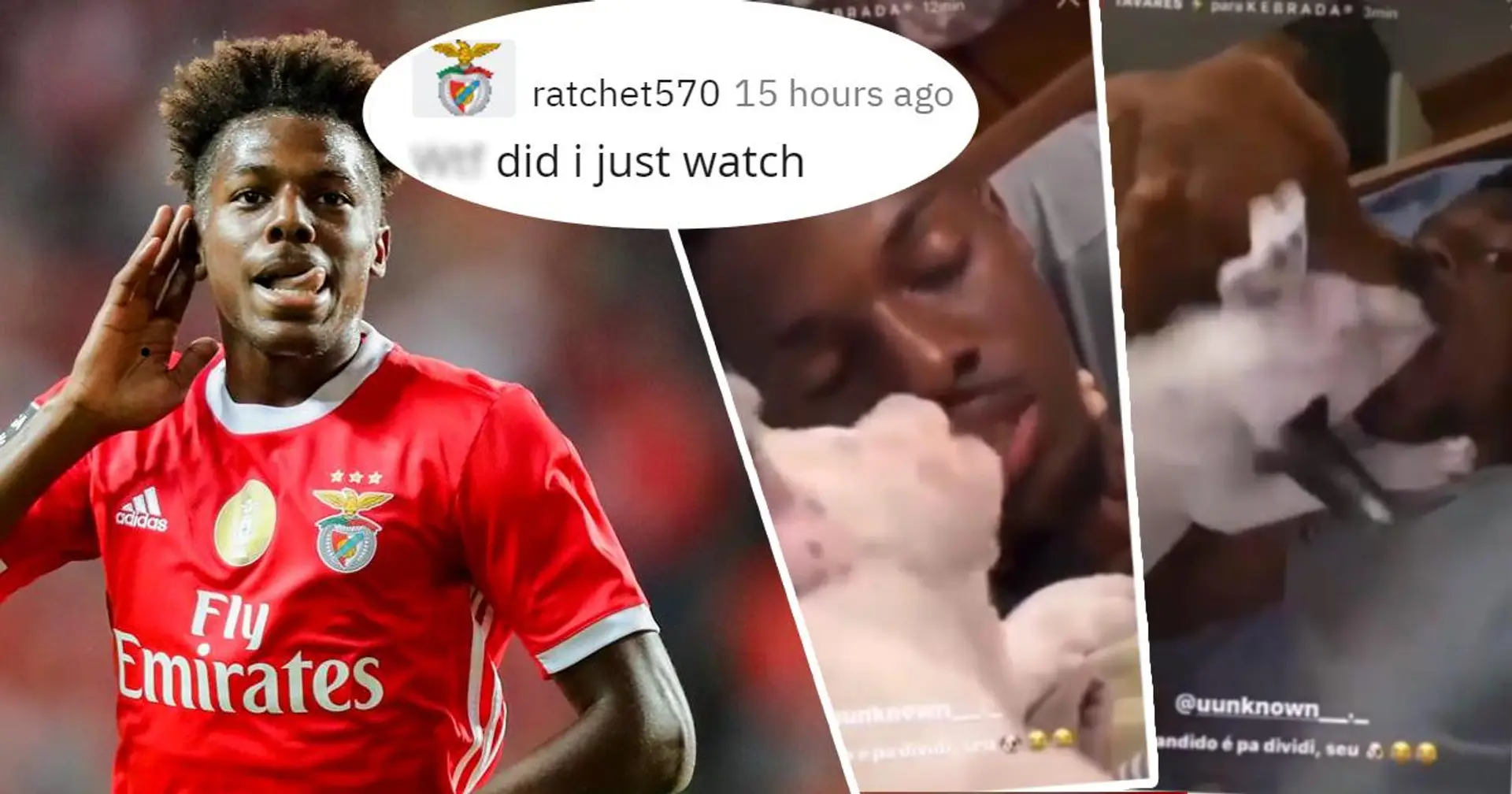 Benfica-Star lässt Hunde die Innenseite seines Mundes lecken - er teilt diese Clips auf Instagram