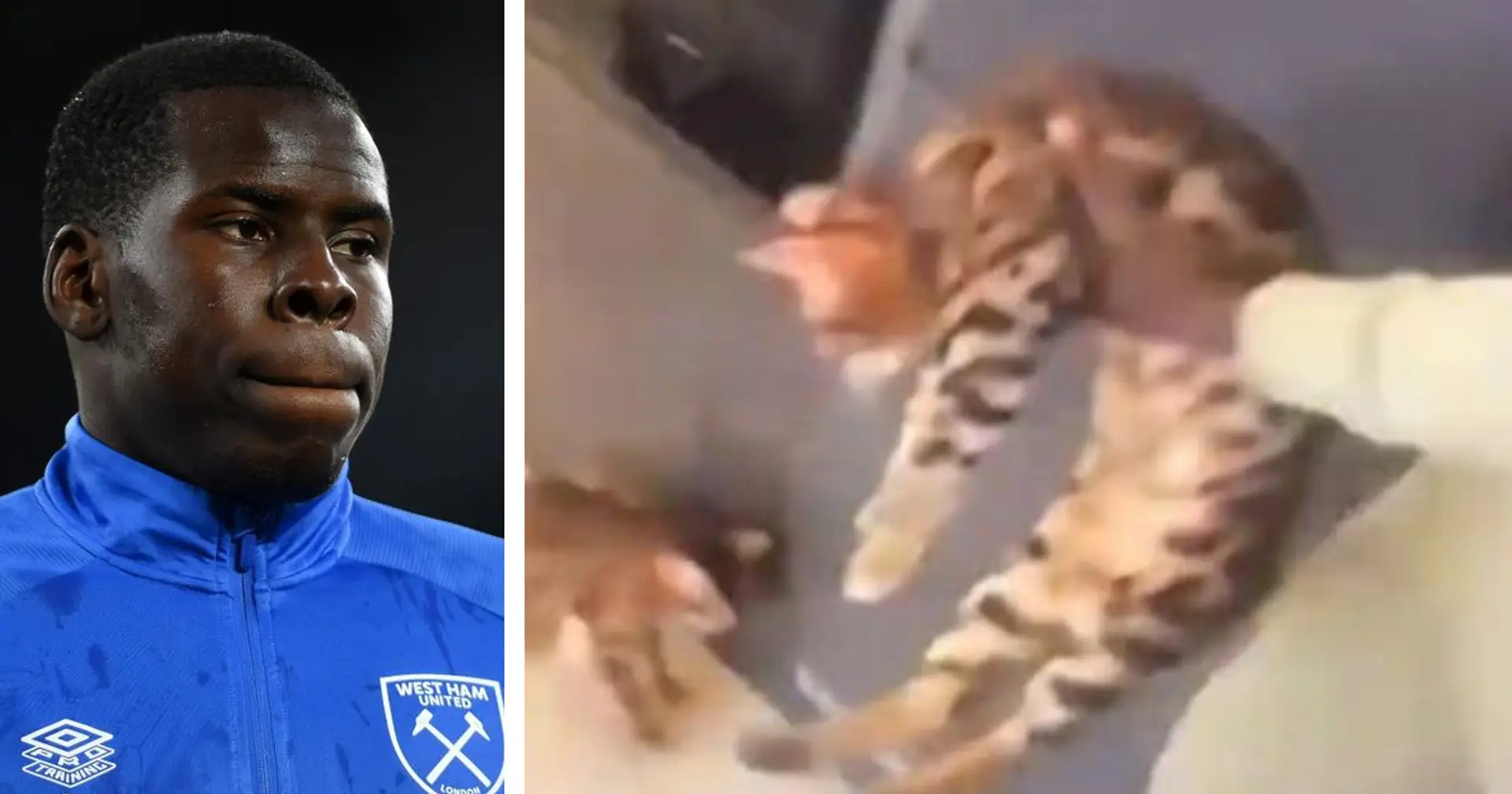 Kurt Zouma pleads guilty to animal welfare offences for abusing pet cat