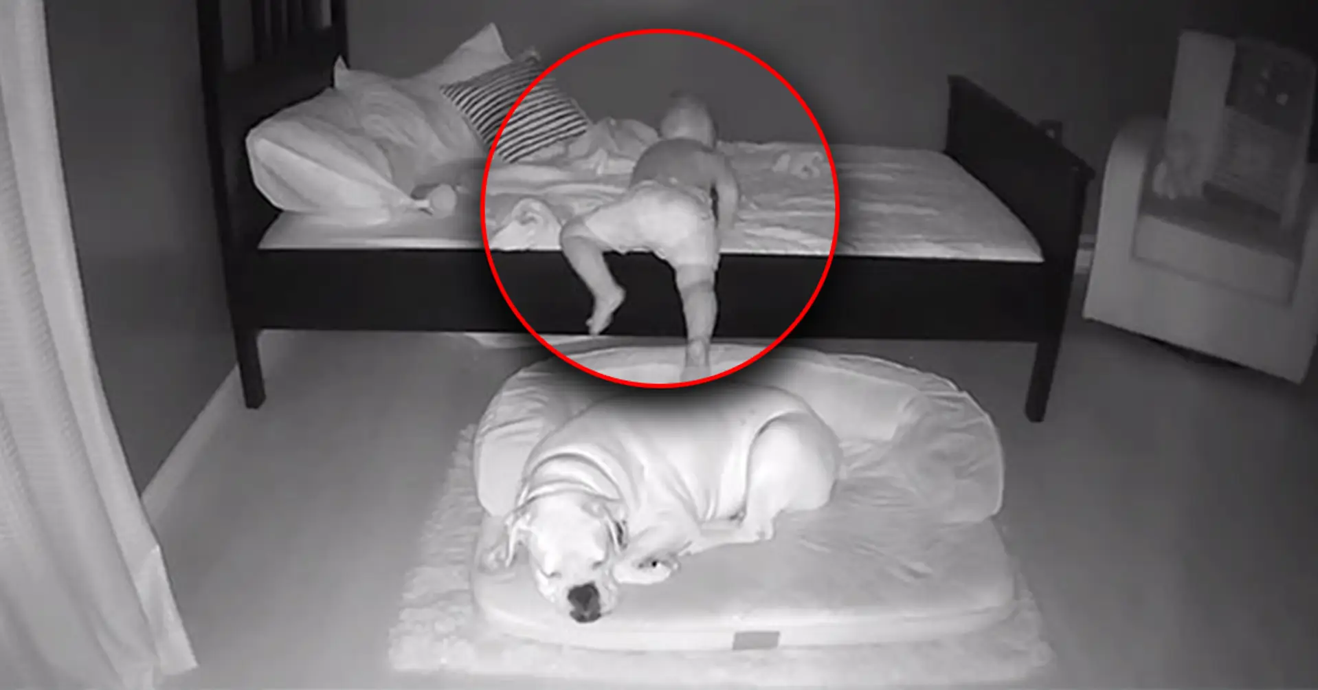 Caught on camera: Mom accidentally finds out why her toddler sneaks out of bed at night