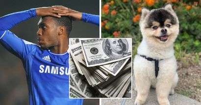 Come back to bite: Ex-Blue Daniel Sturridge sued for allegedly not paying dog rescuer his reward since 2019