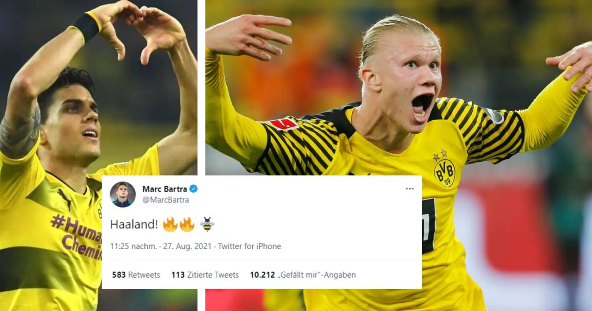 Ein Borusse für immer! Marc Bartra feiert emotional Erling Haalands Siegtor vs. Hoffenheim