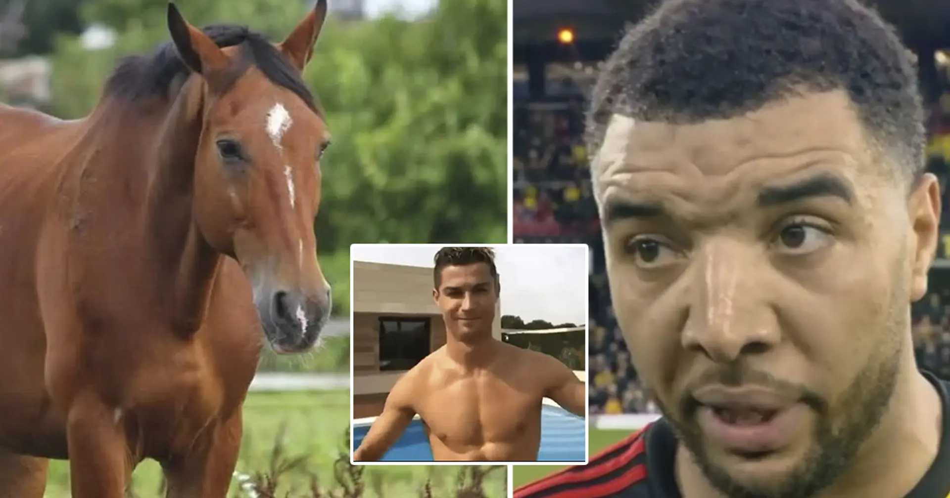 Deeney, l'attaquant de Watford: "Si je voyais Ronaldo manger des crottes de cheval, je le mangerais aussi!"