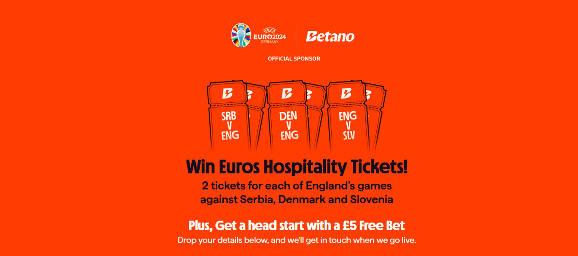 Betano Euro 2024 Promo: Win Euros Hospitality Tickets!