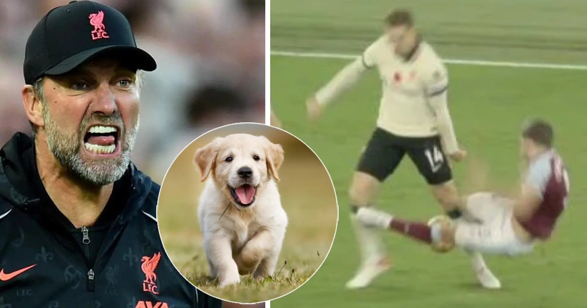 'My god, I'm not your puppy!': Klopp snaps at reporter during interview after West Ham result