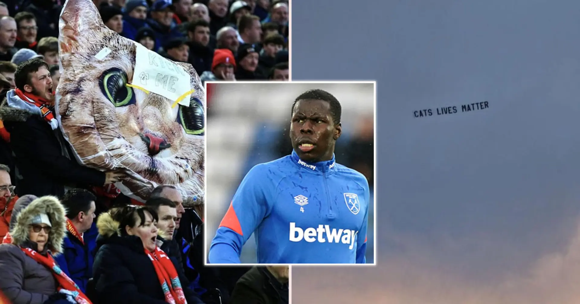 Flugzeug mit 'Cat Lives Matter'-Banner wurde während des Spiels Liverpool vs. West Ham über Anfield gesichtet 
