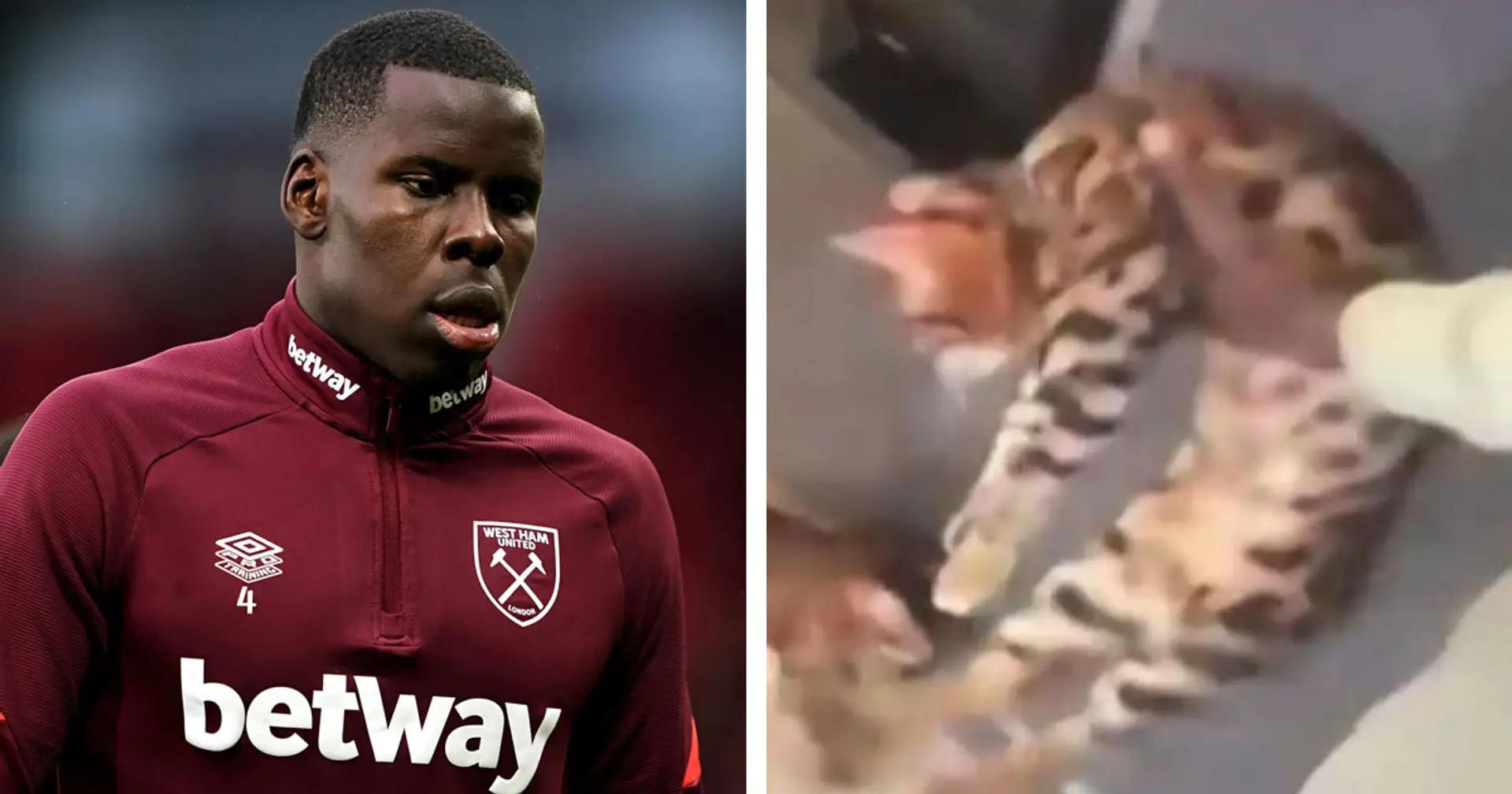 Kurt Zouma charged with three offences for kicking pet cat