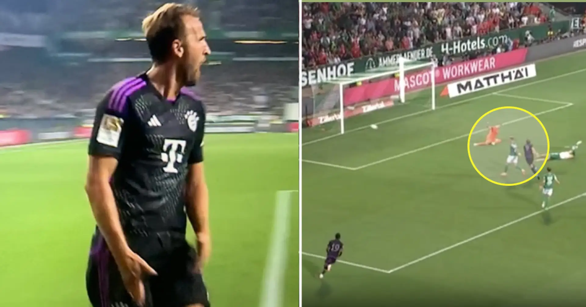 Harry Kane marks Bundesliga debut with goal and assist for Bayern -- spotted