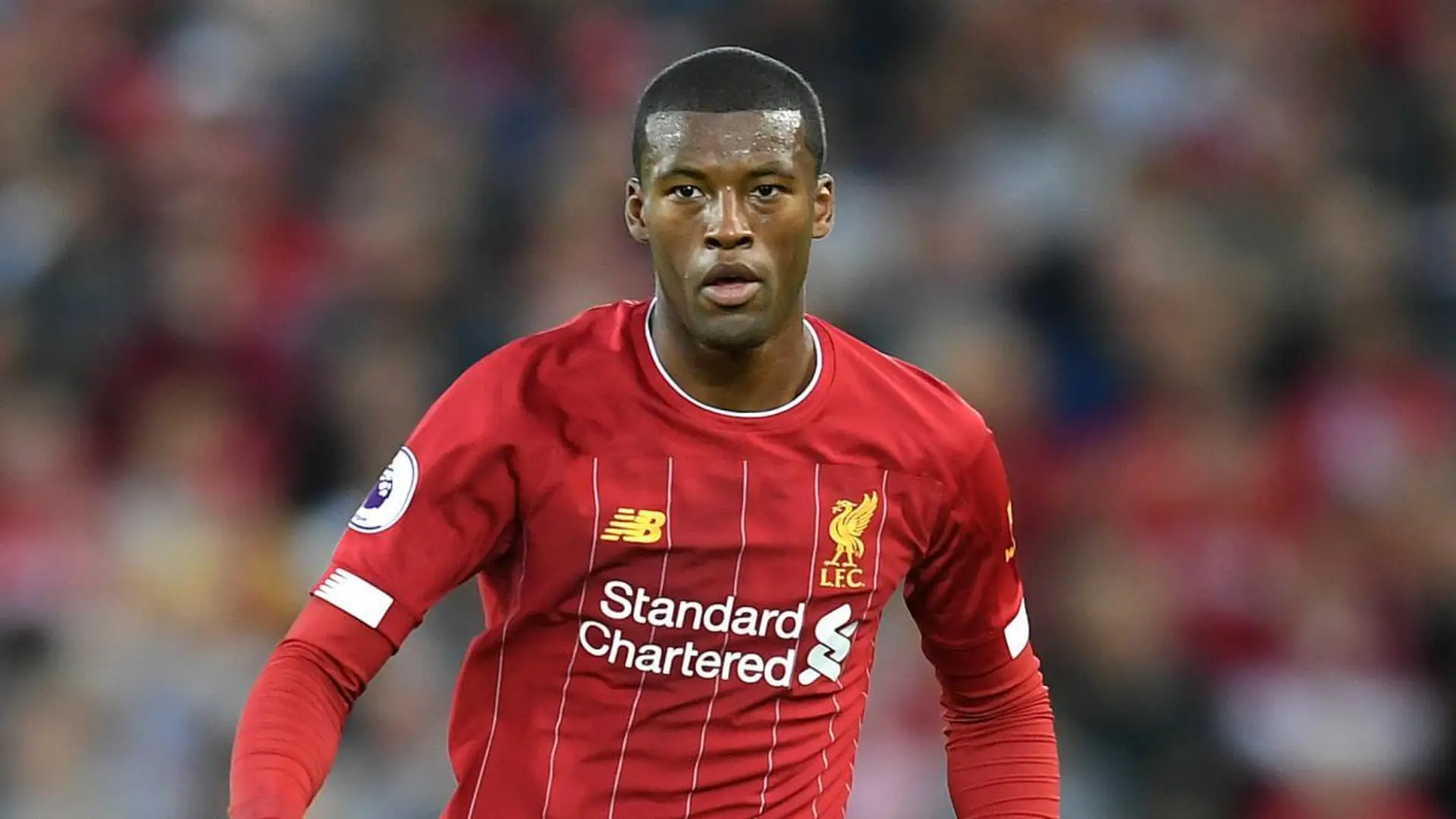 ‘Players want to be at Liverpool’: Former Man City player tips Gini Wijnaldum to agree on a contract extension with the Reds