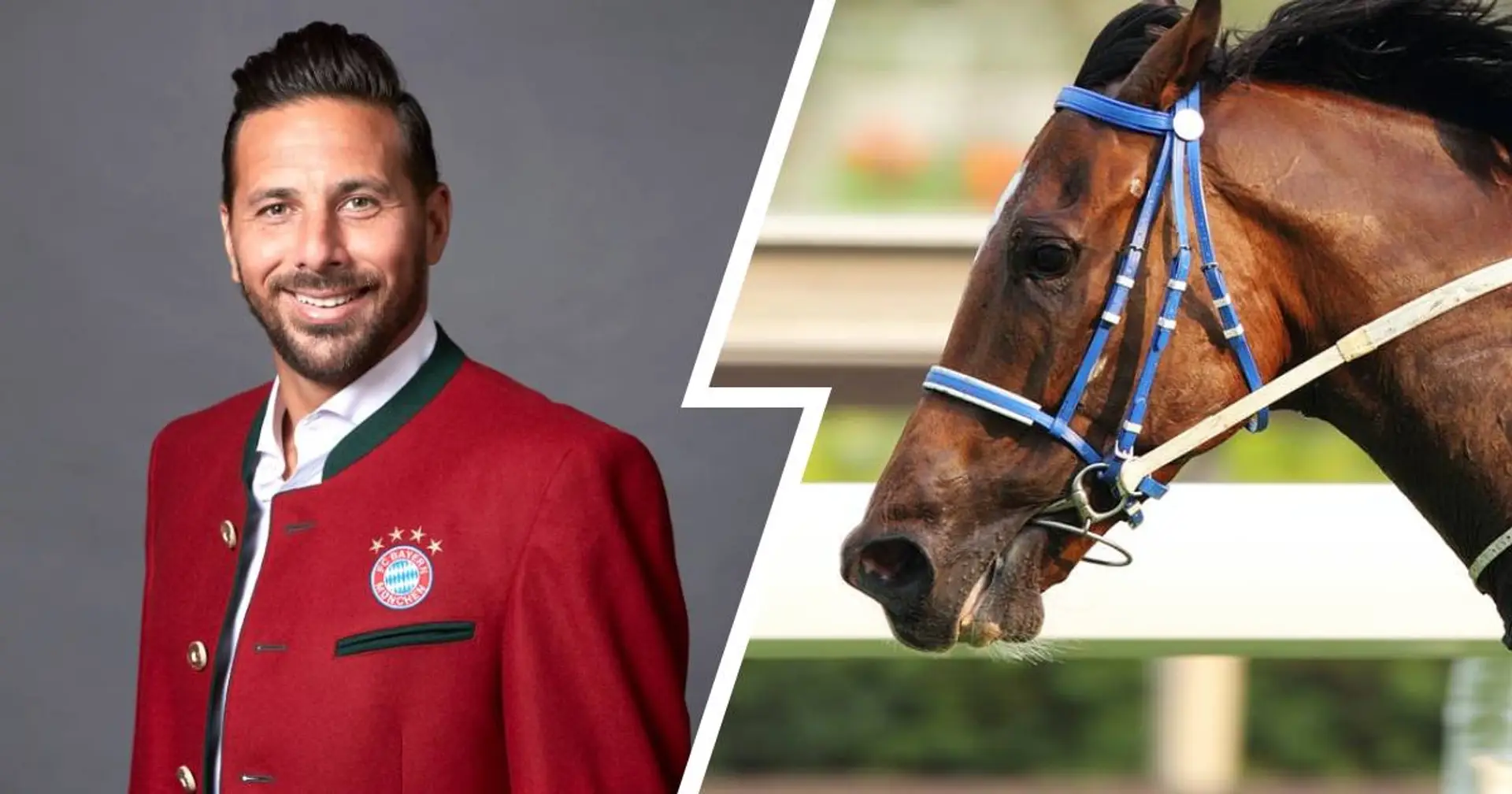 Claudio Pizarro hat seinem Rennpferd einen sehr kuriosen Namen gegeben