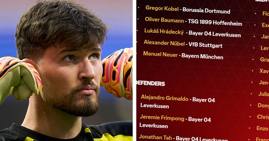 Gleich 5 Spieler von Borussia Dortmund sind für das Bundesliga-Team des Jahres nominiert