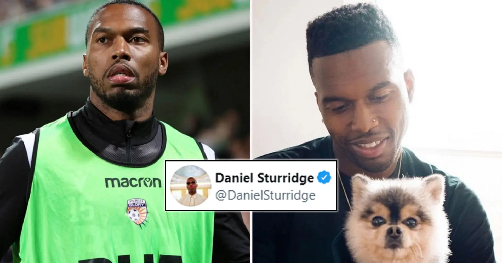 Daniel Sturridge responds to accusations of failing to pay reward for his lost dog