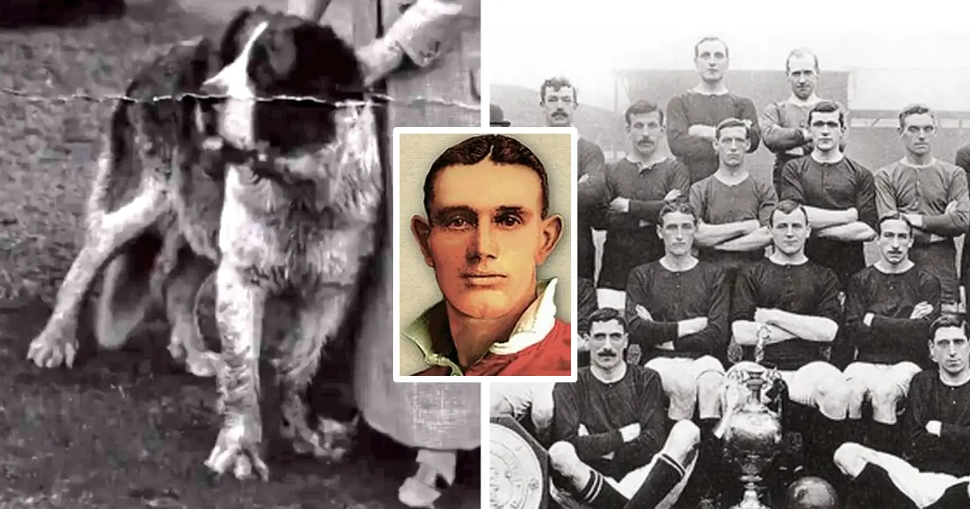 How dog saved Manchester United from bankruptcy in 1901