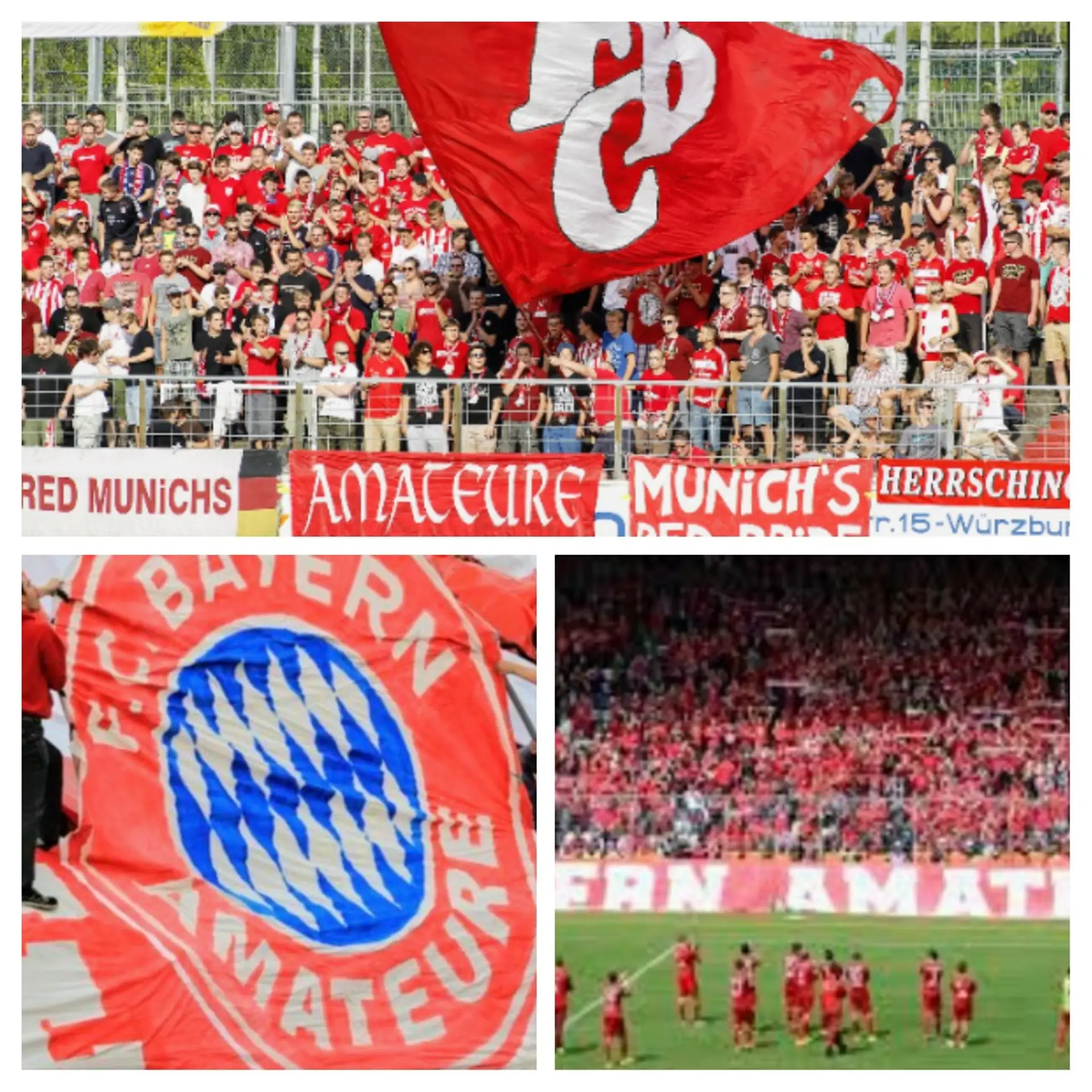 Unsere Bayern Amateure - Angriff auf die Tabellenspitze in der RL-Bayern     