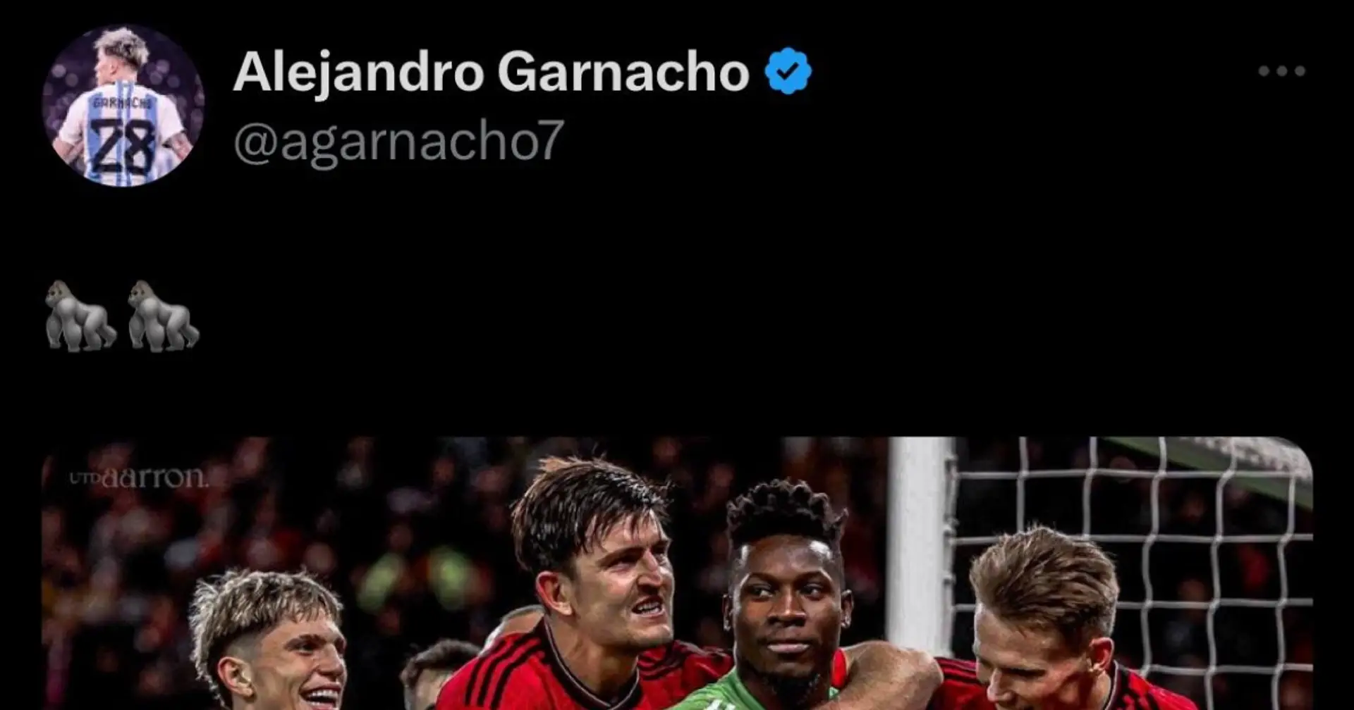 Alejandro Garnacho risks ban over now-deleted tweet with gorilla emojis