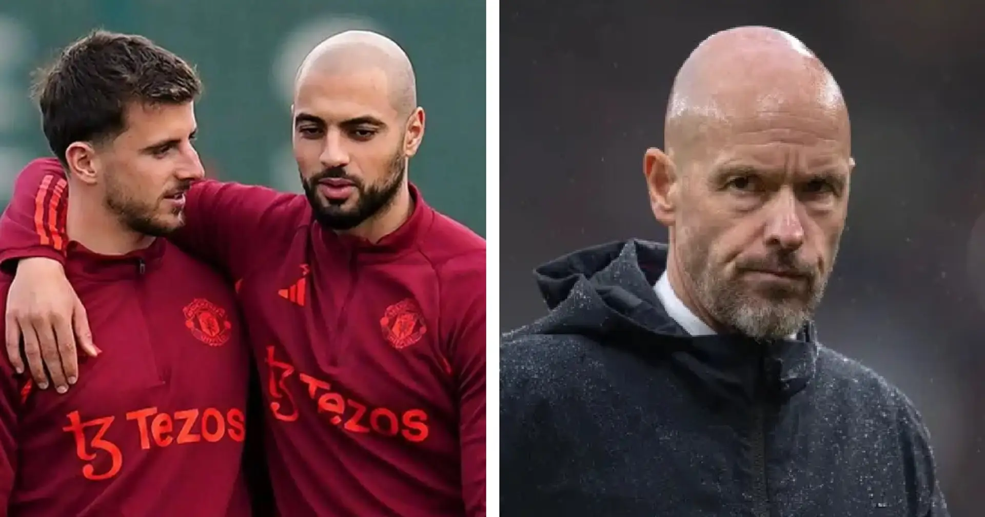 Ten Hag's signing branded 'funny purchase' - not Antony 
