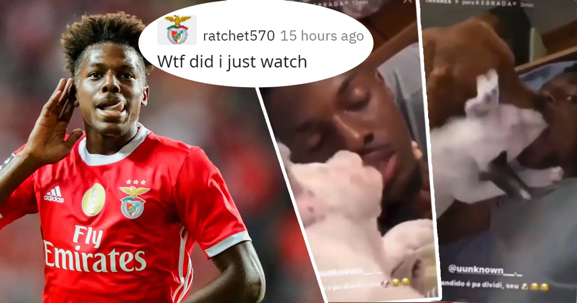 I cani gli leccano la bocca e lui non si oppone: la stella del Benfica condivide le clip su Instagram