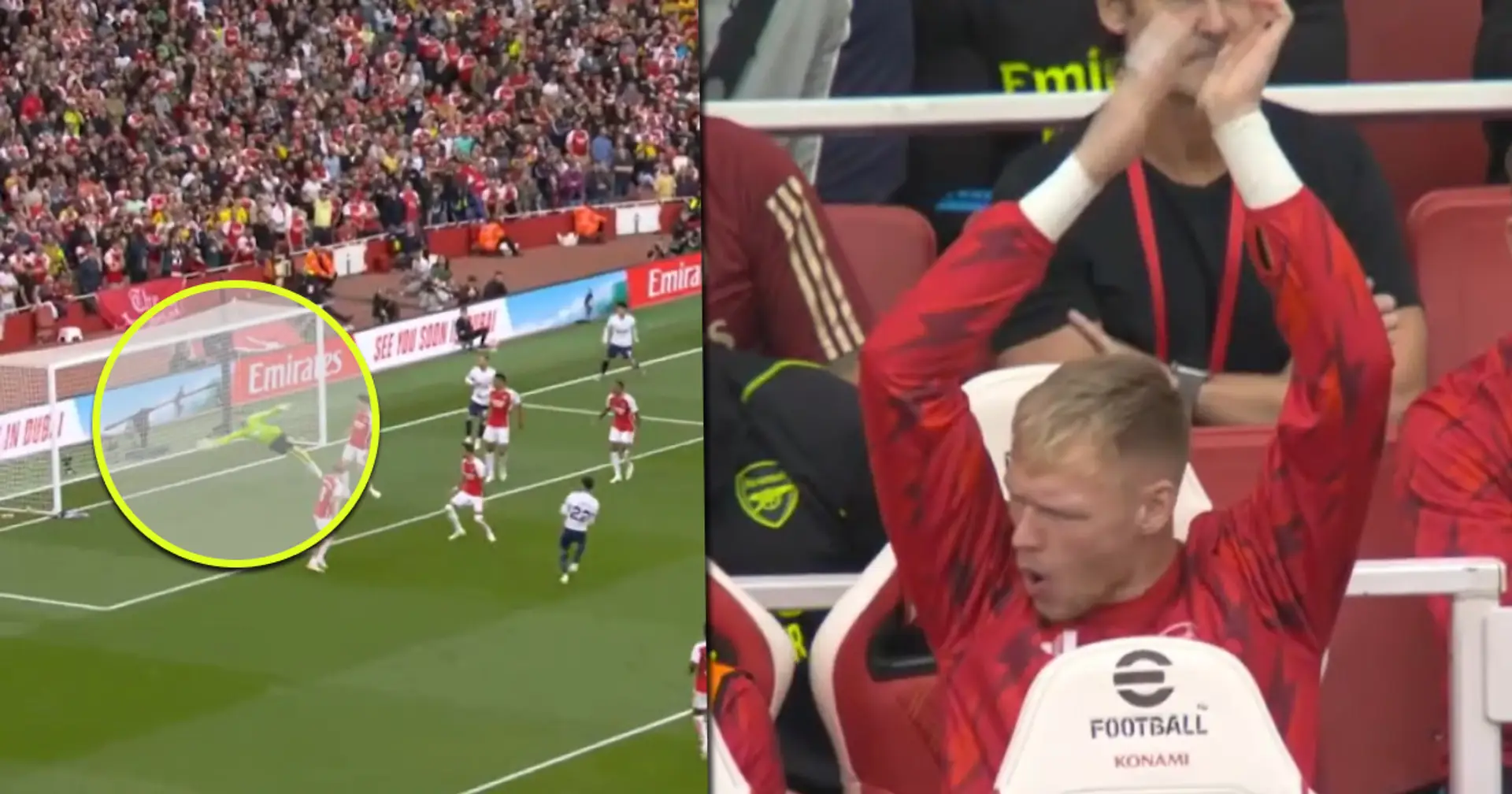 Spotted: Ramsdale's reaction from the bench to Raya's unbelievable save vs Spurs