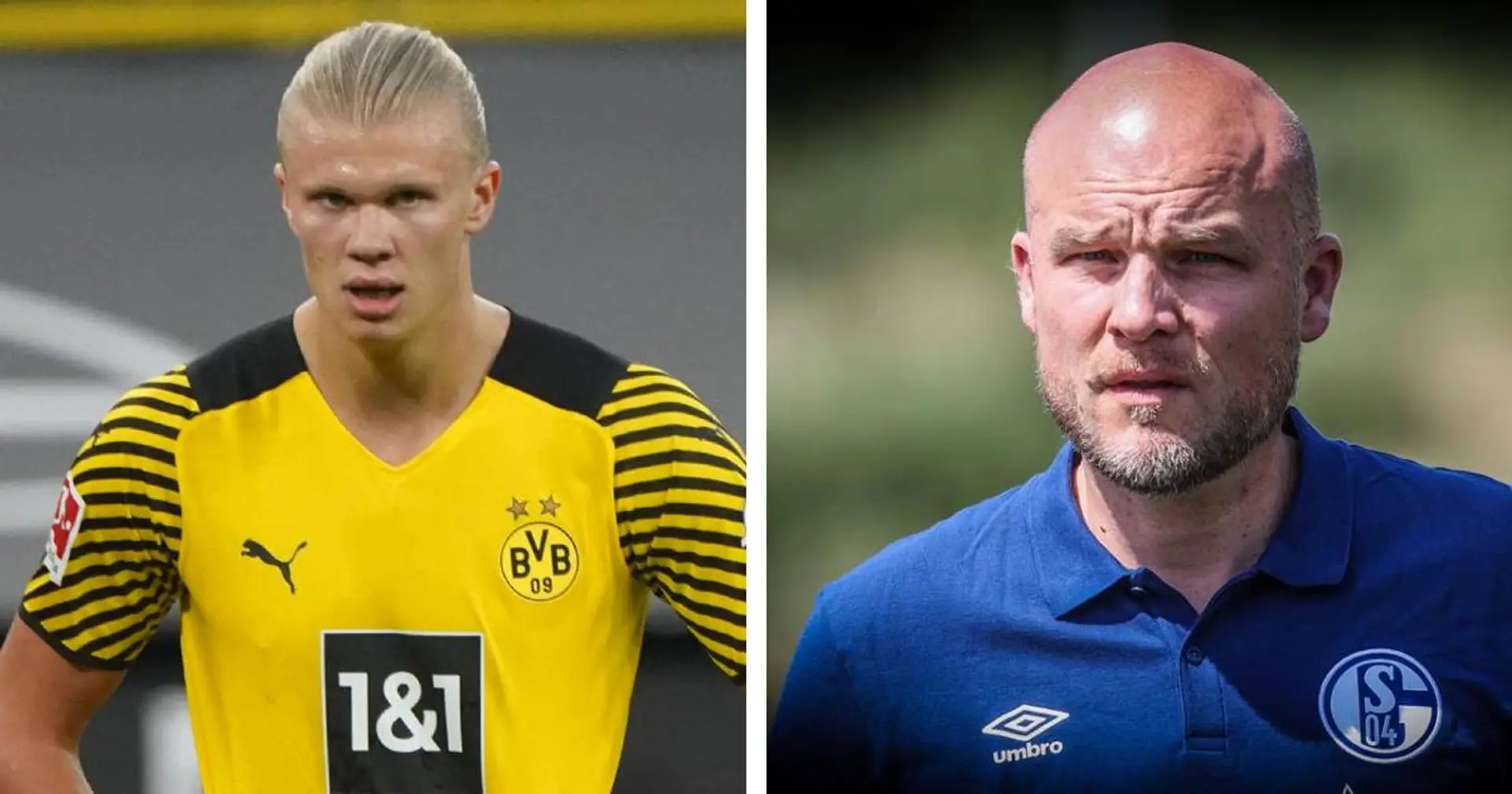 Verrückt: Sogar Schalke-Sportdirektor wünscht sich Haalands Verbleib in Dortmund