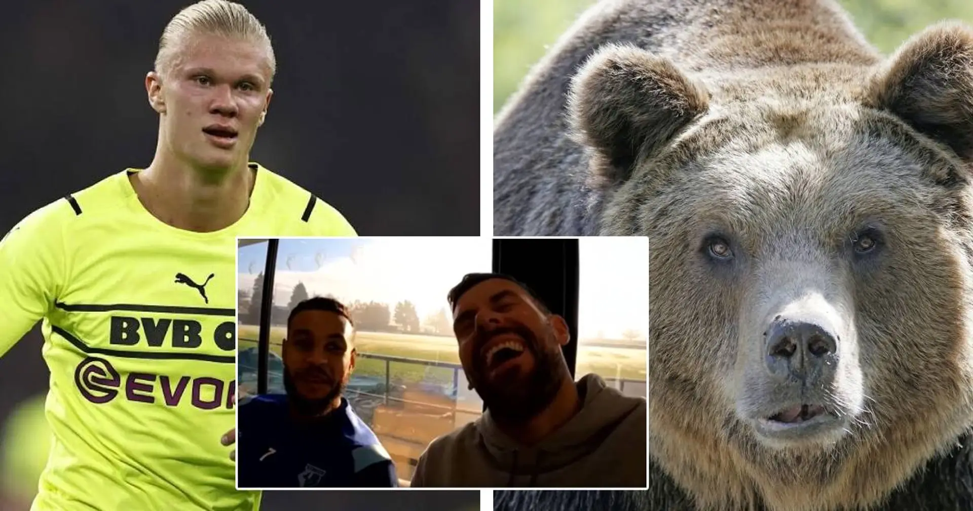 Teamkollege über Erling Haaland: "Er isst einfach wie ein Bär"