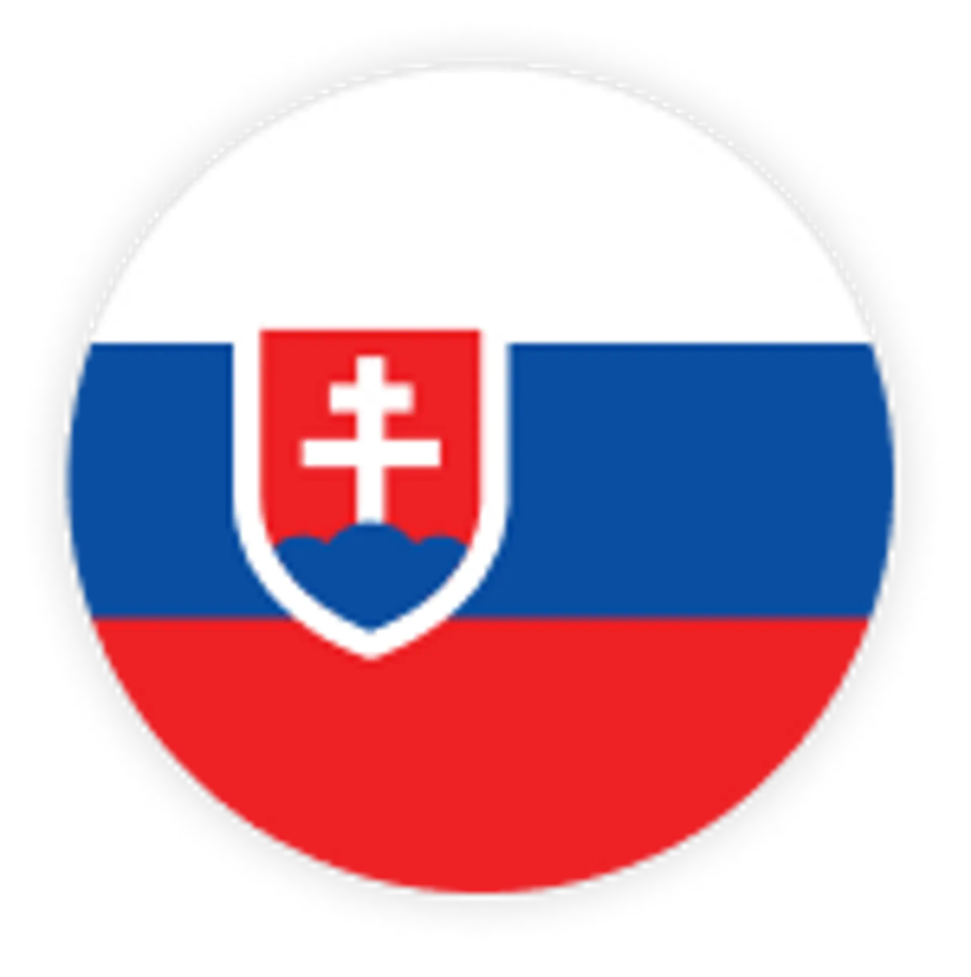 Slovacchia Squadra