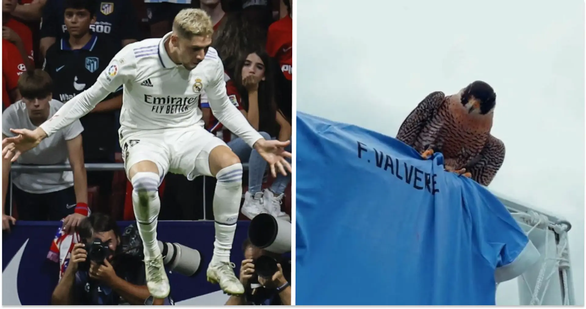 "So enthüllt man einen WM-Kader": Uruguays Video mit Kader-Bekanntgabe geht viral - die Episode mit Valverde wird euch gefallen!