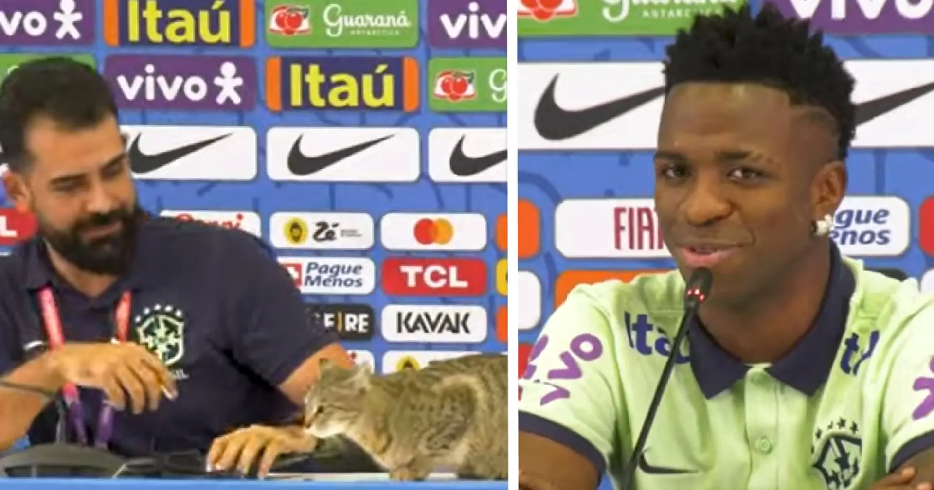 Cat interrupts Vinicus' press conference, Vini reaction as animal is removed spotted