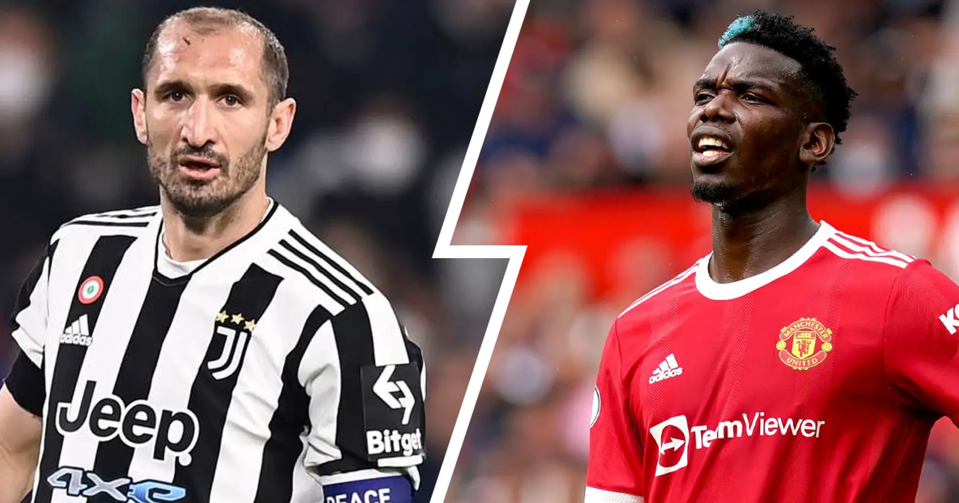 Chiellini verso la MLS, Nedved parla con Pogba: le ultime notizie di mercato della Juventus
