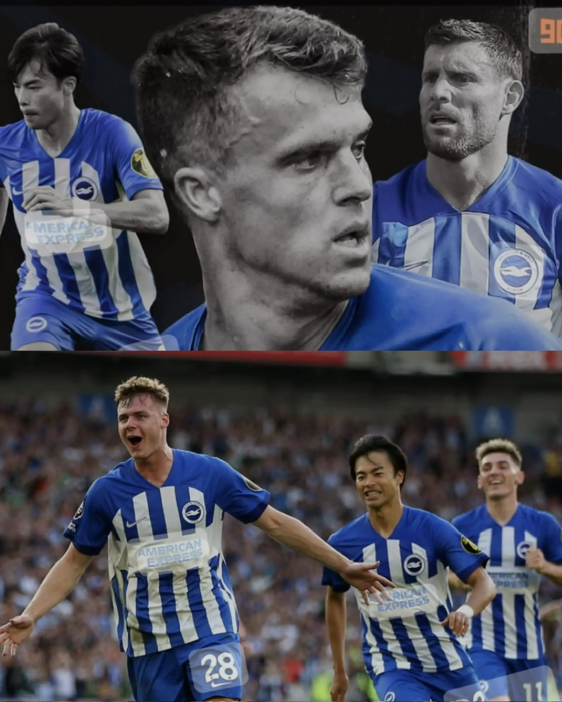 Brighton & Hove Albion: The English Academy of Football Dynasty
