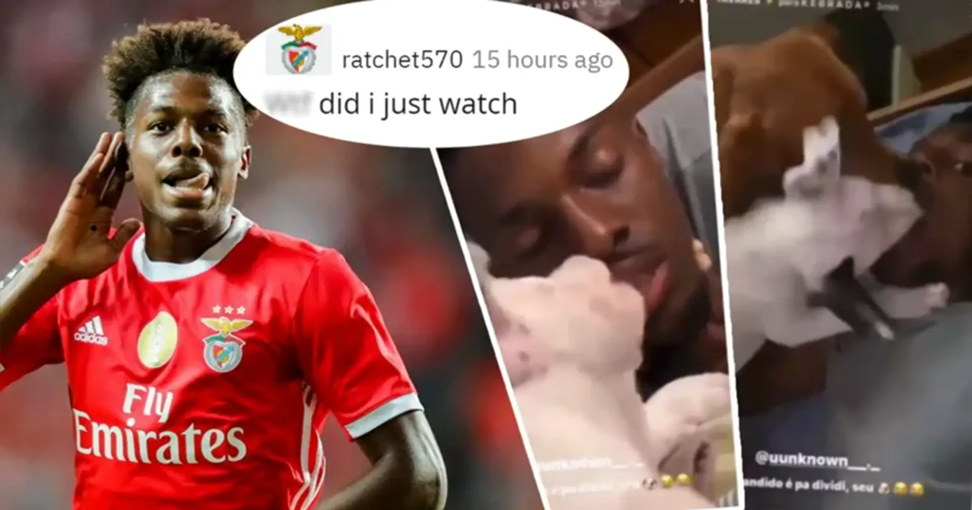 La estrella del Benfica permite que los perros le laman el interior de la boca: comparte esos clips en Instagram
