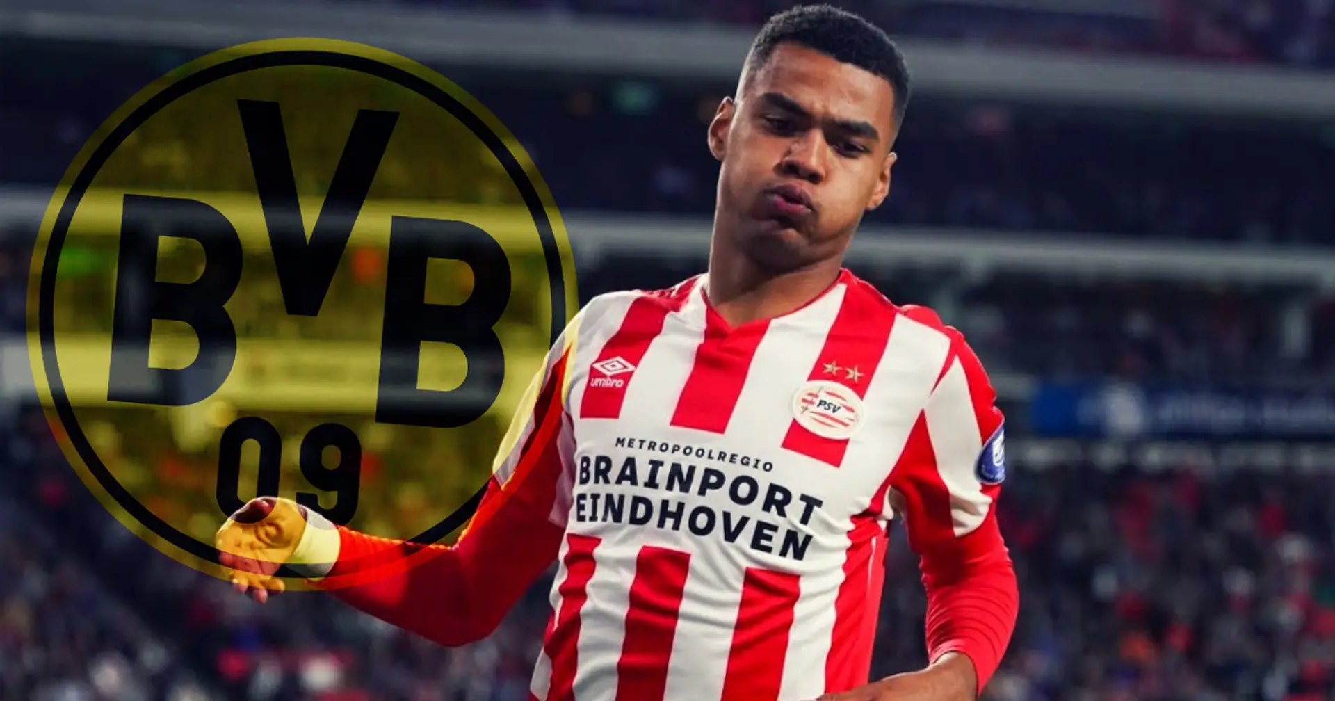 Bericht: Dortmund beobachtet PSV-Toptalent Cody Gakpo als mögliches Transferziel für den Sommer